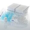 cell DNA isolation kit