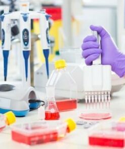 micropipette 1000ul