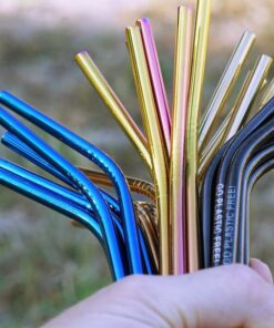 metal straws with case