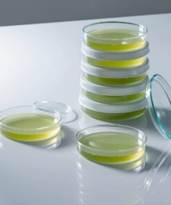 small petri dish