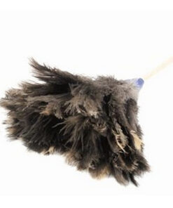 Feather Duster - Genuine Ostrich Feathers - Medium Head - 90cm - Pack of 5 - F9004