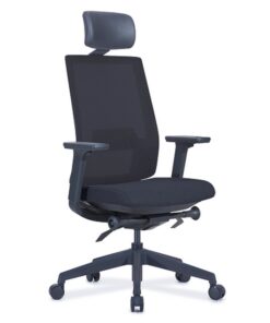 Ergonomic Office Chair - With Headrest - EOFFWHR