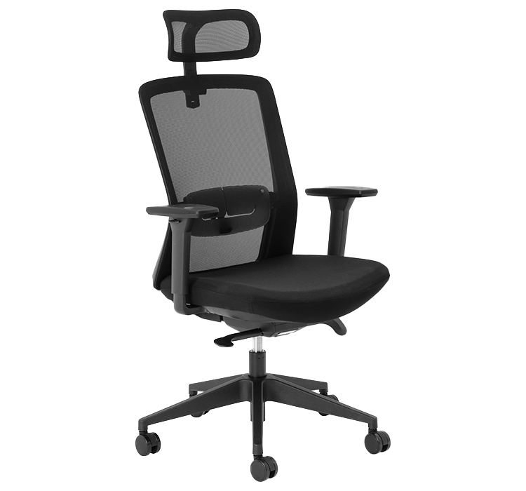 Aila Ergo High Back Chair