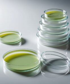 petri dishes