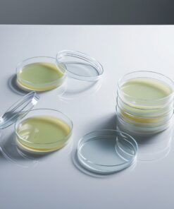petri dishes for sale