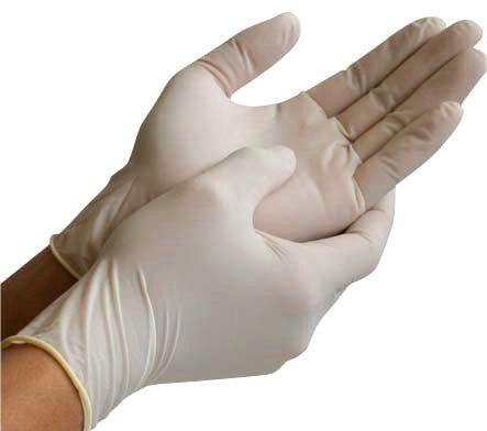 Examination Gloves – Latex, Powdered, Box of 100 (5g)