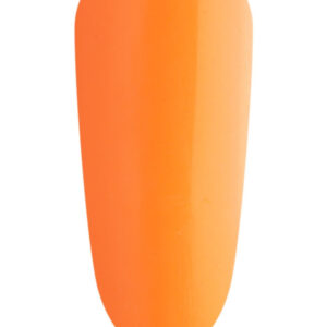 Bellini