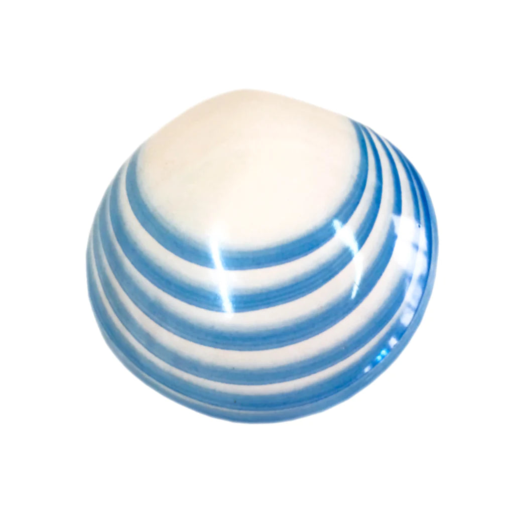 Lava shells Ceramic Codacia - 2pc set - Image 11