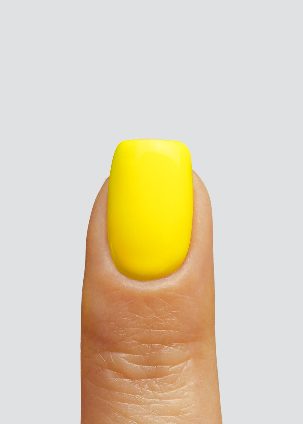 Fries - Image 3
