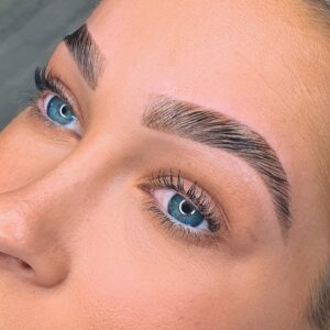 HD Brows BrowSculpt Conversion Course - Online