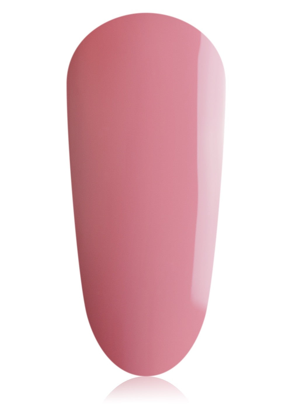 Oriental Lily Mini