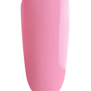 Pink Carnation