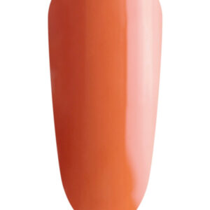Pumpkin Mini