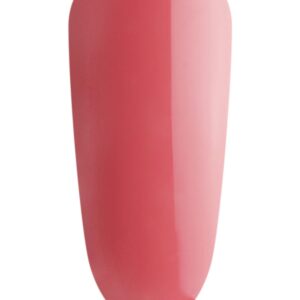 Rhubarb Mini