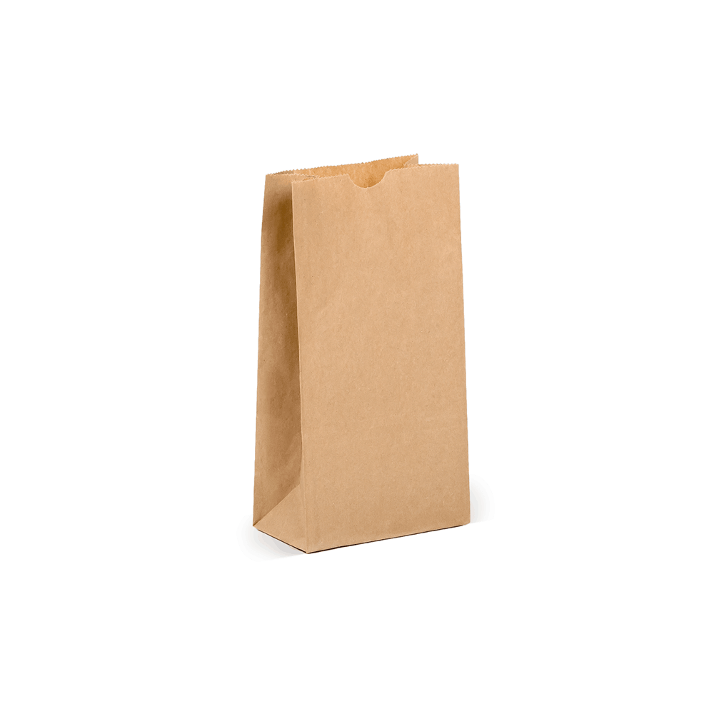 Extra Small Plain Paper Bag