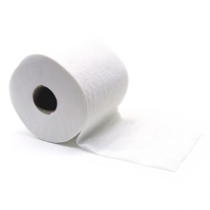 2 Ply Toilet Paper - Virgin (48 in Pack)