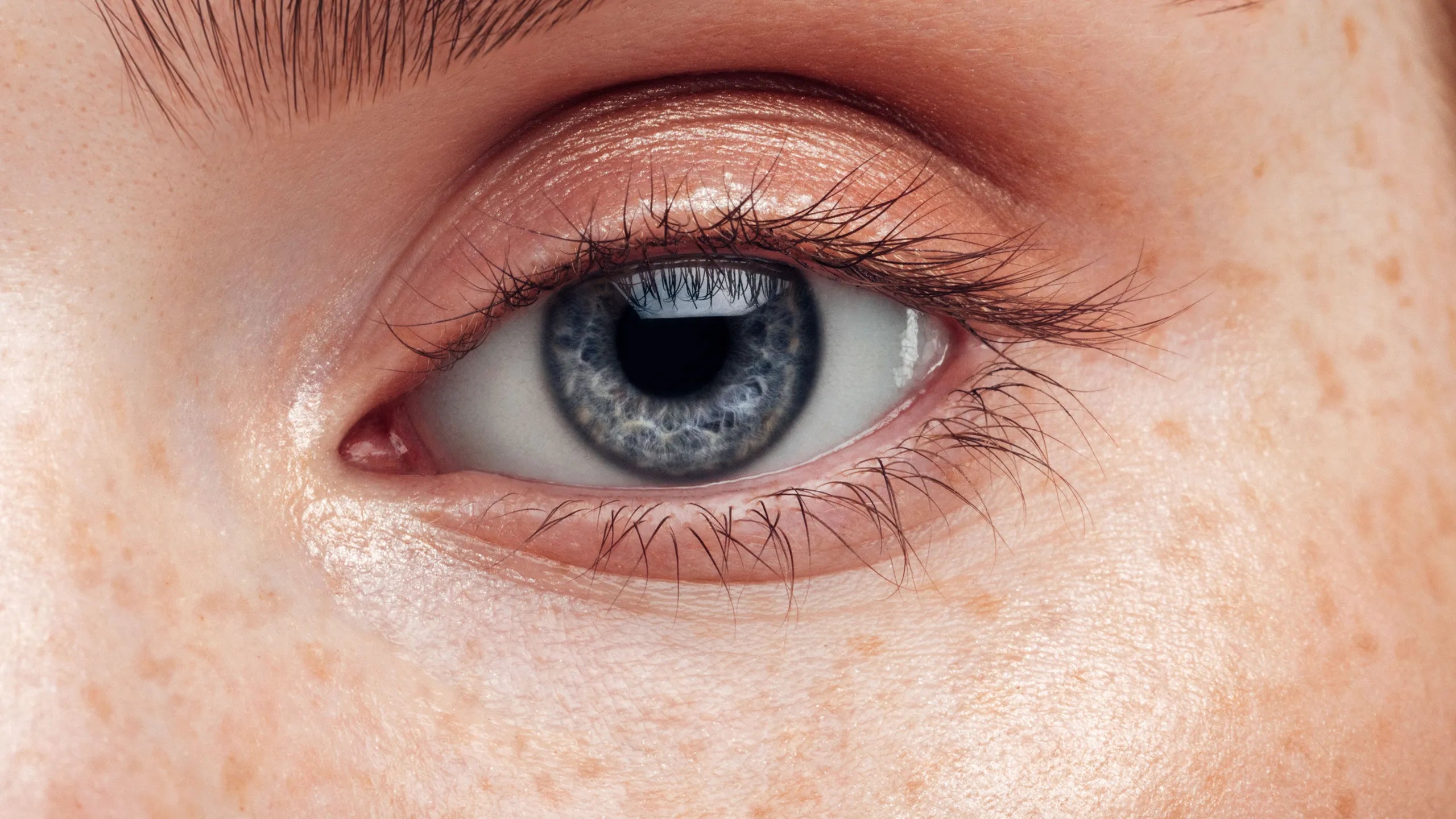 Macro Lens - Image 3
