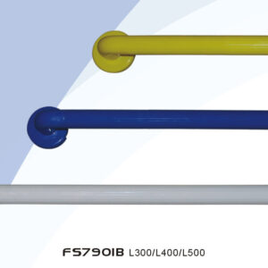 Grab Bar FS7901B-L300