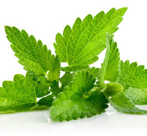 Patchouli essential oil 10ml