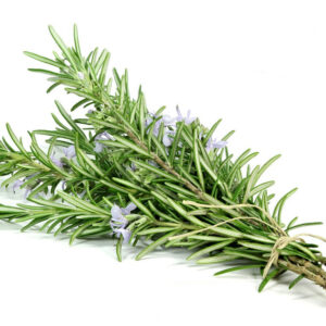 Rosemary essential oil 10ml