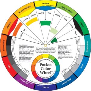 Permanent makeup colour wheel