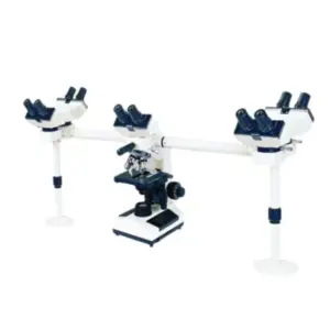 Biological Microscope Multi-Viewing
