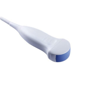 Micro - Convex Probe for Colour Doppler