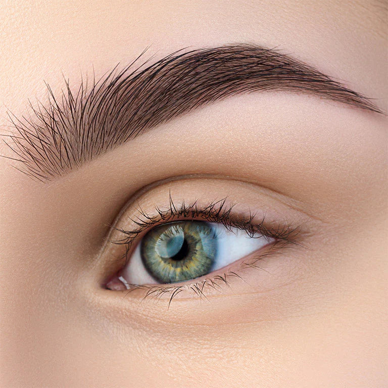 Refectocil Brow Artist Masterclass - One-on-one