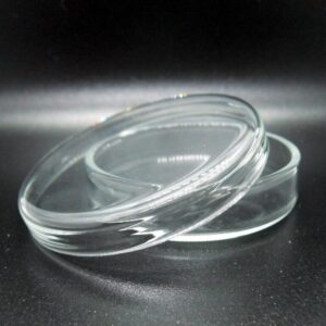 Alternative view of Petri Dish-Glass 60mm