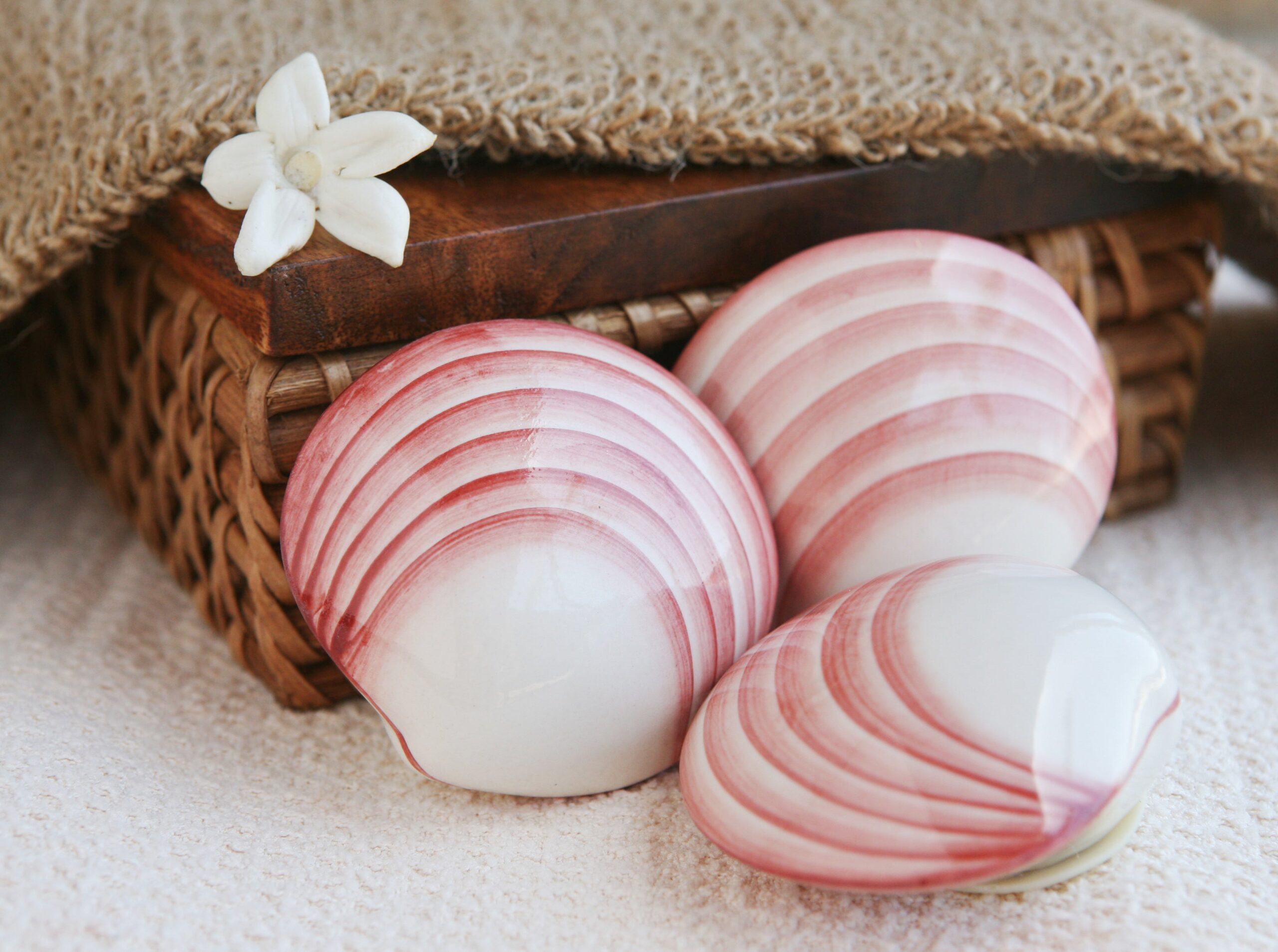 Lava shells Ceramic Codacia - 2pc set - Image 7