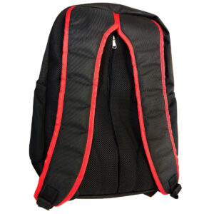 Alternative view of CritiCare BackPAC