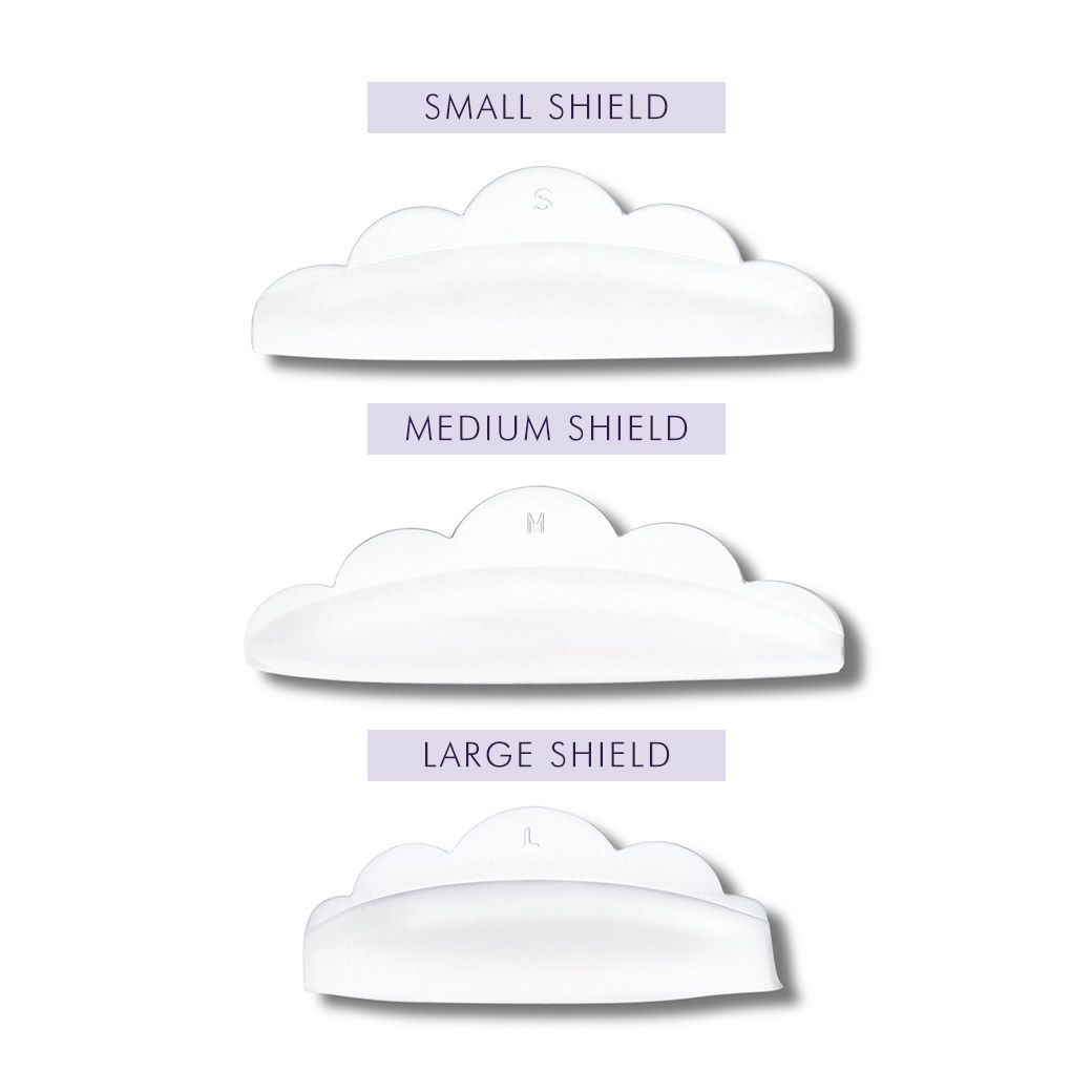 Alternative view of NL Shields - Small