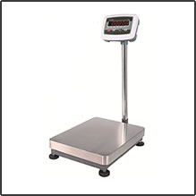 CZNEWTON IWE/DCS series floor scale