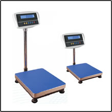 CWB7-DCS series floor scales