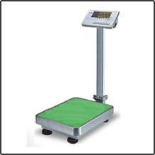 PRECISIO TCS-E/1601-300 Econo floor scale