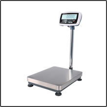 CZNEWTON CWB22/DCS series floor scale