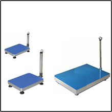 CZNEWTON DCS series floor scales (without indicator)