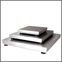 CZNEWTON DSS series stainless steel bench & floor scales