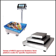 CZNEWTON SWB7 STAINLESS STEEL PLATFORM SCALES