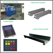Cattle Livestock Scale