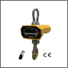 Everight OCS-SL crane scales