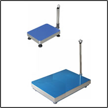 CZNEWTON DCS bench / floor scales