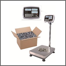 CZNEWTON CCB9 floor counting scales