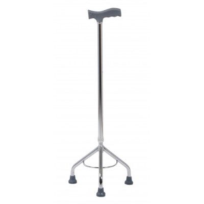 Alternative view of Walking Stick ? Tripod