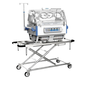 Transport incubator  BT-100