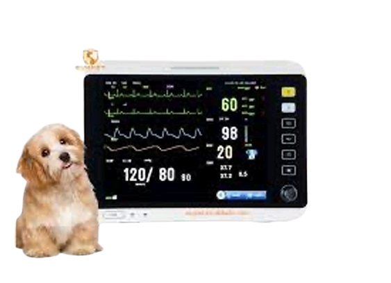 Vet Patient Monitor