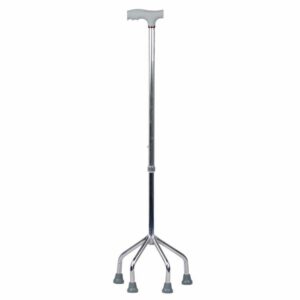Walking Stick - Quadripod
